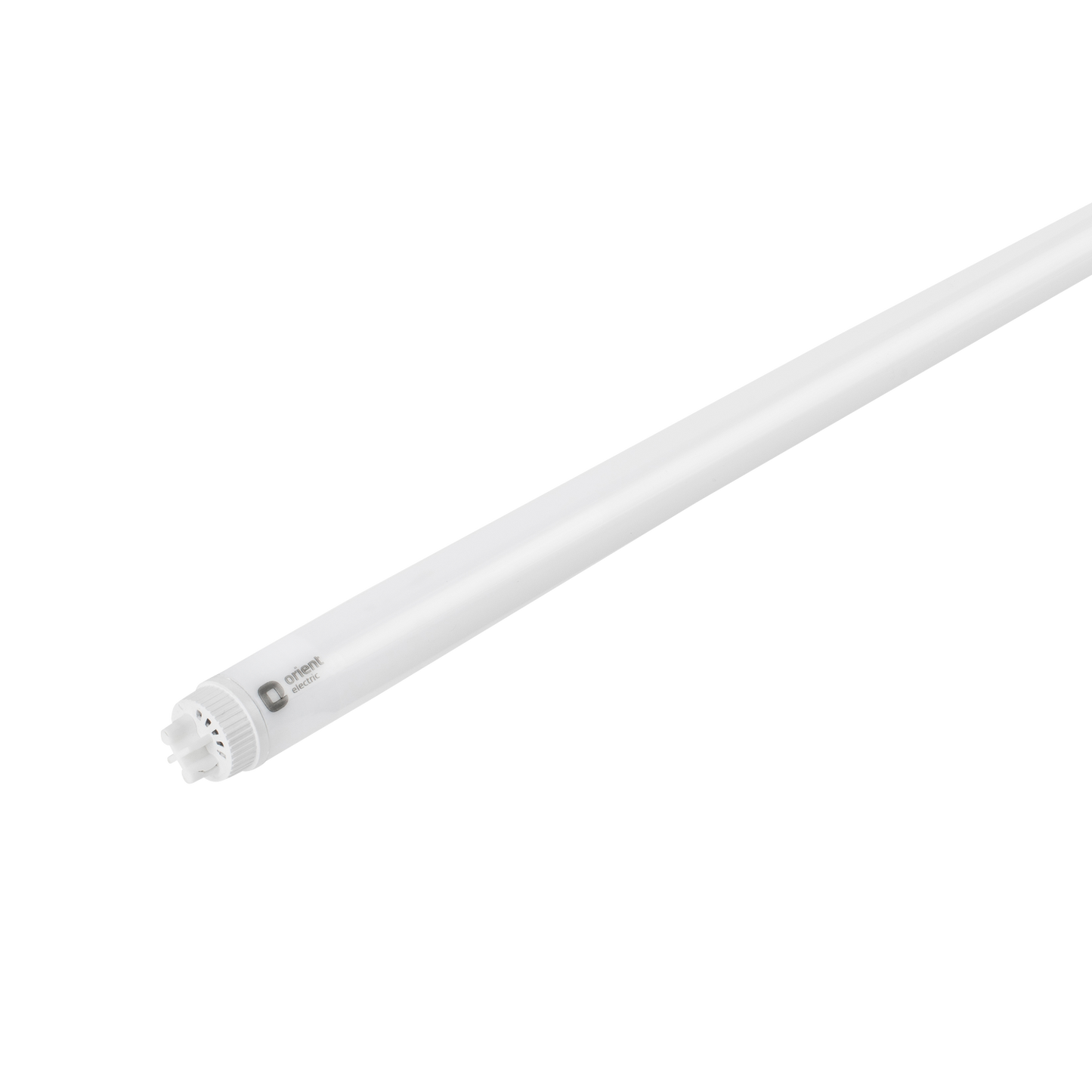 XLINE XT